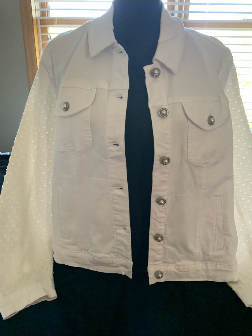 Nicole Miller White Denim Jacket with Swiss Dot Sleeves

OD1 0426